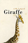 Titel: Giraffe Auteur: J. M. Ledgard Nederlandse vertaling: Ine Willems